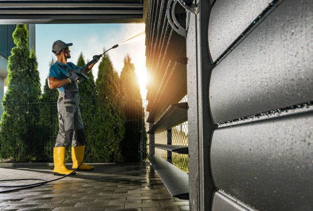 Best Soft Washing for Delicate Surfaces in Cotulla, TX